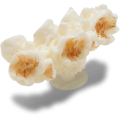 Realistic Popcorn 2 Jibbitz™ charms - Crocs